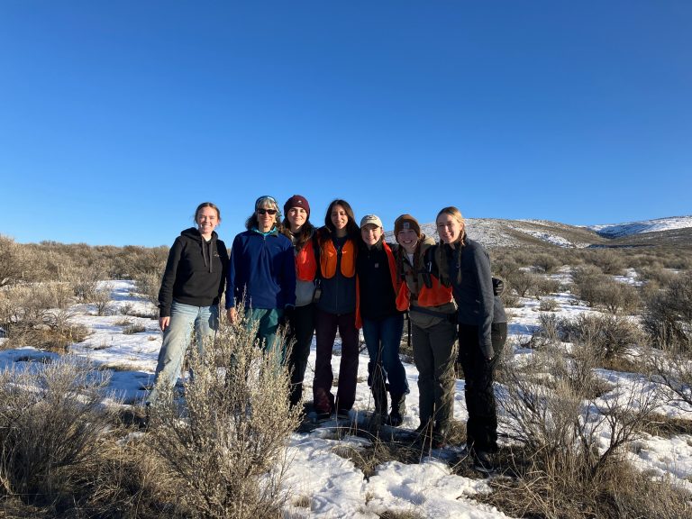 Winter Monitoring