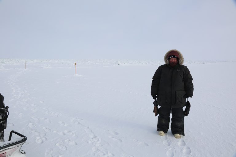 Tracking Polar Bears with Footprints